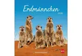 Produktbild: HEYE Wandkalender Erdmännchen Postkartenkalender 2026