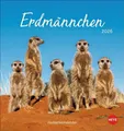 Produktbild: Heye | Erdmännchen Postkartenkalender 2026 | Kalender | Deutsch | Spiralbindung