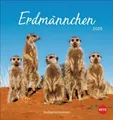 Produktbild: Erdmännchen Postkartenkalender 2026 Heye