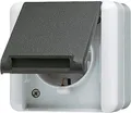 Produktbild: JUNG SCHUKO Steckdose 820W WG800 Aufputz IP44 grau Klappdeckel 16A 250V AP