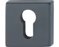 Produktbild: Rosettenpaar AnsaPro Thelon PZ eckig 53x53 mm schwarz matt