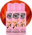 Produktbild: Crazy Color 60 Orange 100 ml