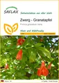 Produktbild: SAFLAX - Samen - Zwerg - Granatapfel - 50 Samen