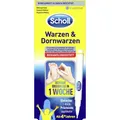 Produktbild: ✅ SCHOLL Stift gegen Warzen Dornwarzen Warzenentferner punktgenaue Anwendung 2g✅