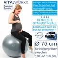 Produktbild: VITALWORXX Gymnastikball für Schwangere Pezziball Yogaball Sitzball 75 cm