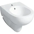 Produktbild: Renova Wandbidet Tiefe 55cm, Überlauf sichtbar, Weiß/KeraTect - Geberit