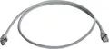 Produktbild: Telegärtner Patchkabel Cat.6A MP8 FS 500 LSZH-10,0 m, grau (L00005A0027)