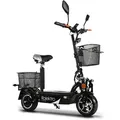 Produktbild: Rolektro, E-Joy 20, Schwarz, 36V-12AH Bleigel Akkus, 500 Watt