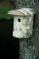 Produktbild: Naturbelassener Birkenstamm Nistkasten mit Rinde Vogelhaus Nisthöhle Birke Holz