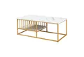 Produktbild: en.casa Couchtisch, »Raukurg« 120x60x44 cm Marmoroptik, weiß / Goldfarben
