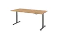 Produktbild: bümö Schreibtisch elektrisch XDSM elektrisch höhenverstellbar, Rechteck: 200 x 100 cm - Dekor: Asteiche
