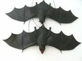 Produktbild: Fledermaus Fledermäuse Hartgummi 2erSet je 35cm Vampire Vampir Halloween Tiere