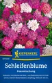 Produktbild: Kiepenkerl Schleifenblumensamen Feenmischung, für ca. 90 Pflanzen - Schnittblume
