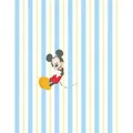 Produktbild: Disney Vliestapete Mickey Mouse, Cartoon, 200x250xcm cm, FSC Mix, Tapeten & Wandverkleidungen, Vliestapeten