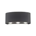 Produktbild: Paul Neuhaus LED-Wandleuchte CARLO Anthrazit 4,8 W / 720 lm – Außenleuchte IP54