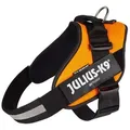 Produktbild: Julius-K9 Hunde-Powergeschirr IDC Powergeschirr UV neon-orange Größe: XL/2 Bauchumfang: 71-96 cm / Breite: 50 mm