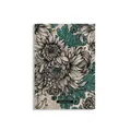 Produktbild: Chrysanthemum