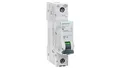 Produktbild: SENTRON 5SL6 1P B 6A 6kA AC-Leistungsschalter 5SL6106-6