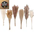 Produktbild: Getrocknete Pampasgrasdekoration 120 Stück Boho-Blumen Tischdek