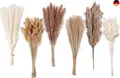 Produktbild: Getrocknete Pampasgrasdekoration, 120 Stück Pampasgras mit Hasenschwänzen G