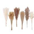 Produktbild: Pampasgras Deko 120 Stück Boho-Style
