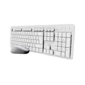 Produktbild: Trust ODY II Leise Tastatur Maus Set Kabellos Deutsches QWERTZ Layout, Flachen Tasten, Beidhändig Funkmaus 800-1600 DPI, Spritzwassergeschützt, EIN USB-Empfänger, für PC Computer Laptop Mac, Weiß