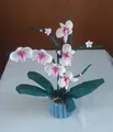 Produktbild: LEGO Botanicals: Orchidee (10311)