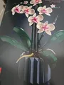 Produktbild: LEGO Botanicals: Orchidee (10311)