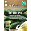 Produktbild: Salatgurke Burpless Tasty Green F1 | Salatgurkensamen von N.L. Chrestensen