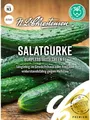 Produktbild: Salatgurke Burpless Tasty Green, F1, Packungsgröße N3, Portion Saatgut