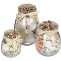 Produktbild: Relaxdays Muschel Deko 3er Set Creme,Transparent