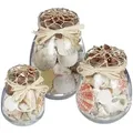 Produktbild: Relaxdays 3Xmuscheldeko, Mehrfarbig, Glas, Naturmaterialien, 15.5 cm, Dekoration, Dekoartikel, Dekoschalen