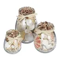 Produktbild: Muschel deko Maritime Tischdeko 3 Gläser Naturmaterial Deko-Gläser transparent