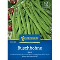 Produktbild: Buschbohnen Maxi Kiepenkerl Samenfestes Saatgut Gemüsesamen