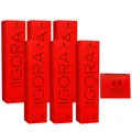 Produktbild: Schwarzkopf Igora Royal 6 x 60 ml 7-1 Mittelblond Cendre Haarfarbe Cremefarbe Se