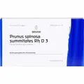 Produktbild: PRUNUS SPINOSA SUMMITATES Rh D 3 Ampullen 8 ml PZN01625357