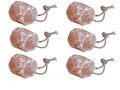 Produktbild: Holland Animal Care Salzleckstein TYP Himalaya 6 Stück ca. 2-3 kg Mineralleckstein Leckstein Viehsalz einzeln eingeschweißt