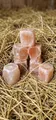 Produktbild: Excellent Horse Himalaya Salzleckstein Pferd 6er Set je 2-3 kg Mineralleckstein