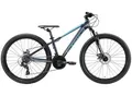 Produktbild: Mountainbike BIKESTAR Gr. 33, blau, Fahrräder, Damen, 33cm, 26 Zoll (66,04cm), für Damen und Herren, Kettenschaltung