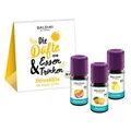 Produktbild: Baldini – 3er-Duftset Zitrusgarten – ätherische Öle Orange demeter, Grapefruit & Zitrone – 3×5 ml – naturrein & bio -Bio-Aroma - Duftkomposition