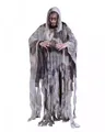 Produktbild: Grauer Fetzen Geist Herren Kostüm One Size als Verkleidung für Halloween und