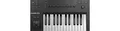 Produktbild: Native Instruments KOMPLETE KONTROL A25