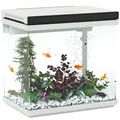 Produktbild: 26 Liter Aquarium mit Filter, LED-Beleuchtung, Wasserpumpe, ca. 38 x 26 x 38 cm