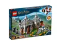 Produktbild: LEGO® HARRY POTTER™ 75947 Hagrids Hütte: Seidenschnabels Rettung - NEU & OVP -