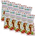 Produktbild: Toothpop Zahnpflege-Lolli Erdbeere mit Xylitol, zuckerfrei, 10er Pack (10 x 6 g)