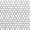 Produktbild: Alberts Lochblech Lochplatte Blechstreifen Blechzuschnitt Alu 250 x 500 x 0,8mm