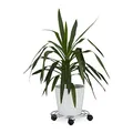 Produktbild: Relaxdays 2X Pflanzenroller, Blumenroller mit Bremse, rund, Blumentopfuntersetzer aus Stahl, HBT: ca. 6 x 32 x 32 cm, Silber