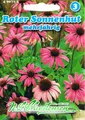 Produktbild: Roter Sonnenhut (Portion) (Echinacea purpurea), mehrjährig