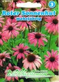 Produktbild: 490725 Roter Sonnenhut   Saatgut Samen  Heilpflanze