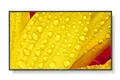 Produktbild: NEC MultiSync M651-2 LCD 65